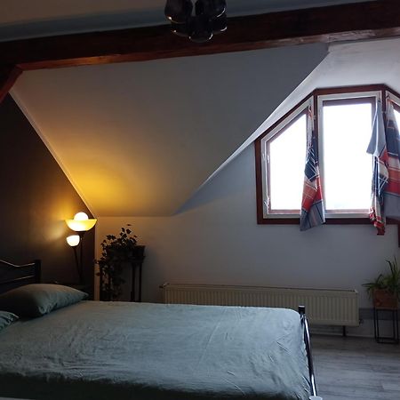 Mansarda Leilighet Cluj-Napoca Eksteriør bilde